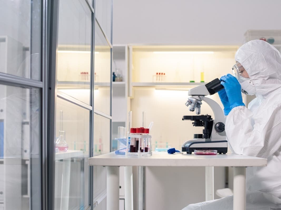 shutterstock 1655314240 1 09131044198